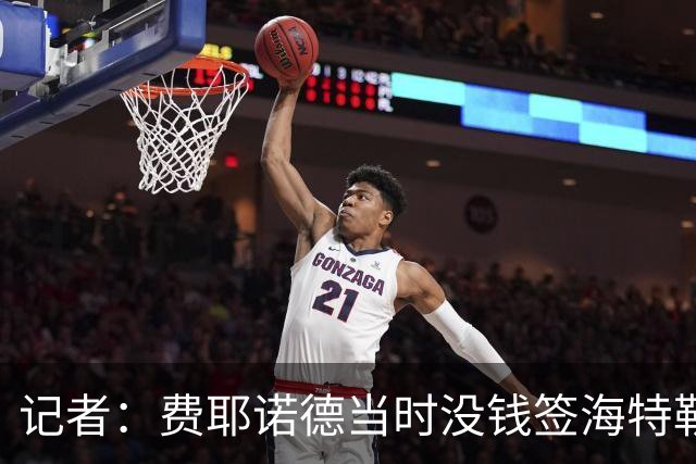 记者：费耶诺德当时没钱签海特勒伊达